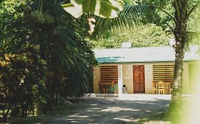 Hostel 7, Casa De Gingi